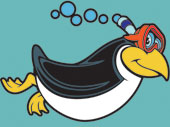 Penguin snorkelling