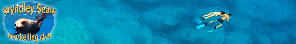 Wyndley Seals snorkelling club Wyndley Seals snorkelling club